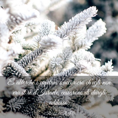 Picture 03 - 1 Re 22:33 RIV - E allorché i capitani s’accorsero ch’egli - Bible Verse Picture