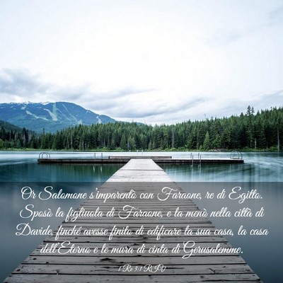 Picture 03 - 1 Re 3:1 RIV - Or Salomone s’imparentò con Faraone, re di - Bible Verse Picture