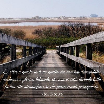 Picture 03 - 1 Re 3:13 RIV - E oltre a questo io ti do quello che non hai - Bible Verse Picture