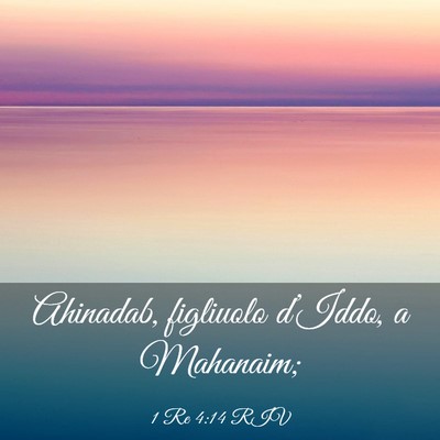 Picture 03 - 1 Re 4:14 RIV - Ahinadab, figliuolo d’Iddo, a - Bible Verse Picture