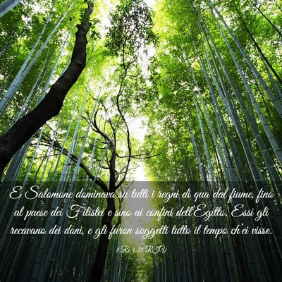 Picture 03 - 1 Re 4:21 RIV - E Salomone dominava su tutti i regni di qua dal - Bible Verse Picture