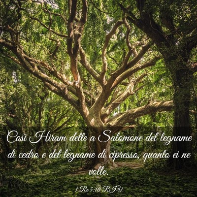 Picture 03 - 1 Re 5:10 RIV - Così Hiram dette a Salomone del legname di cedro - Bible Verse Picture