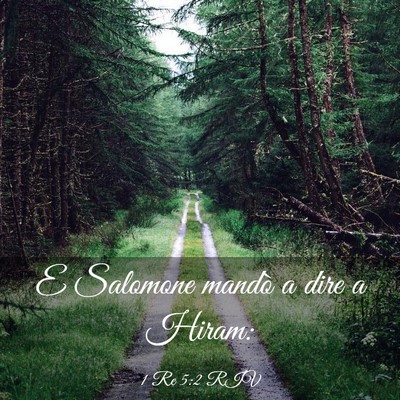 Picture 03 - 1 Re 5:2 RIV - E Salomone mandò a dire a - Bible Verse Picture
