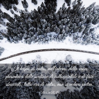 Picture 03 - 1 Re 6:18 RIV - Il legno di cedro, nell’interno della casa, - Bible Verse Picture