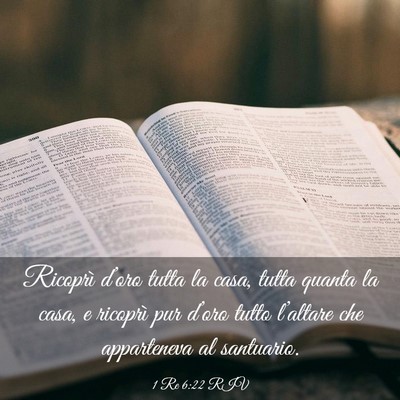 Picture 03 - 1 Re 6:22 RIV - Ricoprì d’oro tutta la casa, tutta quanta la - Bible Verse Picture