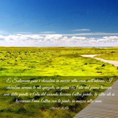 Picture 03 - 1 Re 6:27 RIV - E Salomone pose i cherubini in mezzo alla casa, - Bible Verse Picture