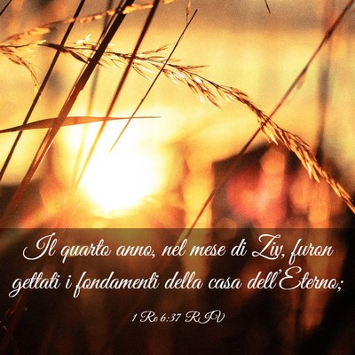 Picture 03 - 1 Re 6:37 RIV - Il quarto anno, nel mese di Ziv, furon gettati i - Bible Verse Picture