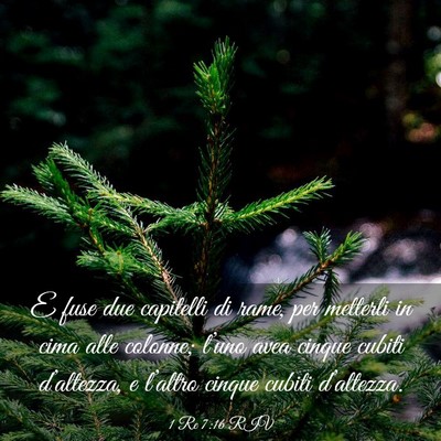 Picture 03 - 1 Re 7:16 RIV - E fuse due capitelli di rame, per metterli in - Bible Verse Picture