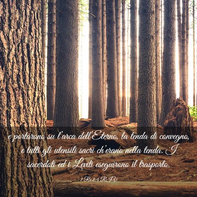 Picture 03 - 1 Re 8:4 RIV - e portarono su l’arca dell’Eterno, la tenda - Bible Verse Picture