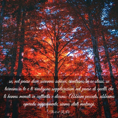 Picture 03 - 1 Re 8:47 RIV - se, nel paese dove saranno schiavi, rientrano in - Bible Verse Picture