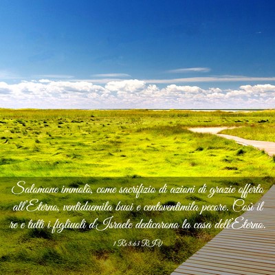 Picture 03 - 1 Re 8:63 RIV - Salomone immolò, come sacrifizio di azioni di - Bible Verse Picture