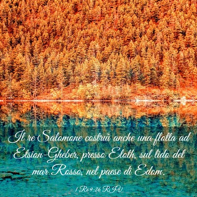 Picture 03 - 1 Re 9:26 RIV - Il re Salomone costruì anche una flotta ad - Bible Verse Picture