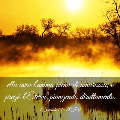 Picture 03 - 1 Samuele 1:10 RIV - ella avea l’anima piena di amarezza, e pregò - Bible Verse Picture
