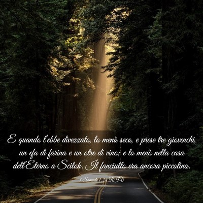 Picture 03 - 1 Samuele 1:24 RIV - E quando l’ebbe divezzato, lo menò seco, e - Bible Verse Picture