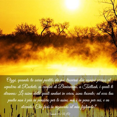 Picture 03 - 1 Samuele 10:2 RIV - Oggi, quando tu sarai partito da me, troverai due - Bible Verse Picture