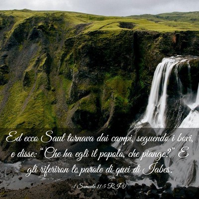 Picture 03 - 1 Samuele 11:5 RIV - Ed ecco Saul tornava dai campi, seguendo i bovi, - Bible Verse Picture