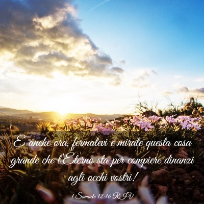 Picture 03 - 1 Samuele 12:16 RIV - E anche ora, fermatevi e mirate questa cosa - Bible Verse Picture