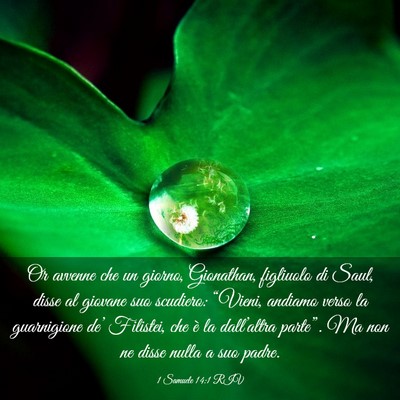 Picture 03 - 1 Samuele 14:1 RIV - Or avvenne che un giorno, Gionathan, figliuolo di - Bible Verse Picture