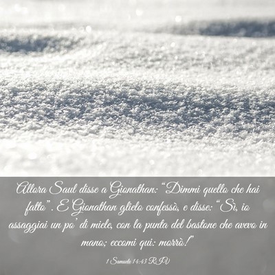 Picture 03 - 1 Samuele 14:43 RIV - Allora Saul disse a Gionathan: “Dimmi quello - Bible Verse Picture