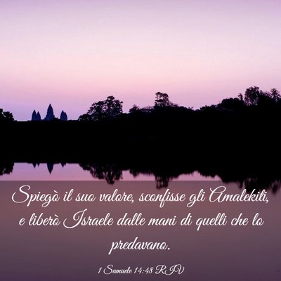Picture 03 - 1 Samuele 14:48 RIV - Spiegò il suo valore, sconfisse gli Amalekiti, e - Bible Verse Picture