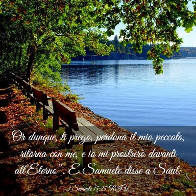 Picture 03 - 1 Samuele 15:25 RIV - Or dunque, ti prego, perdona il mio peccato, - Bible Verse Picture