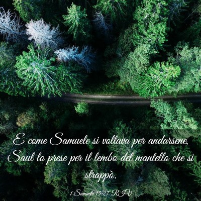 Picture 03 - 1 Samuele 15:27 RIV - E come Samuele si voltava per andarsene, Saul lo - Bible Verse Picture