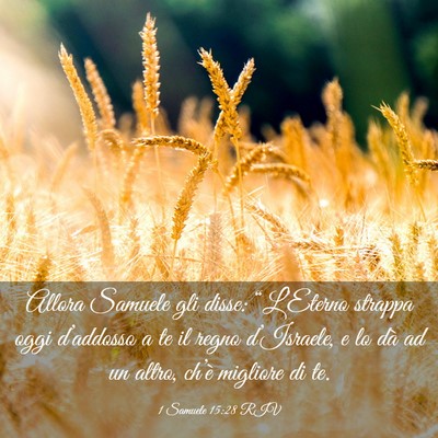 Picture 03 - 1 Samuele 15:28 RIV - Allora Samuele gli disse: “L’Eterno strappa - Bible Verse Picture