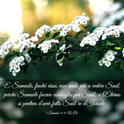 Picture 03 - 1 Samuele 15:35 RIV - E Samuele, finché visse, non andò più a vedere - Bible Verse Picture