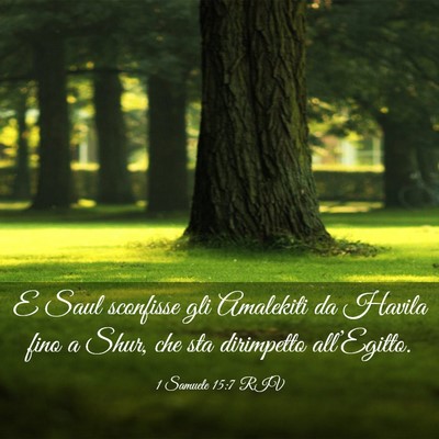 Picture 03 - 1 Samuele 15:7 RIV - E Saul sconfisse gli Amalekiti da Havila fino a - Bible Verse Picture