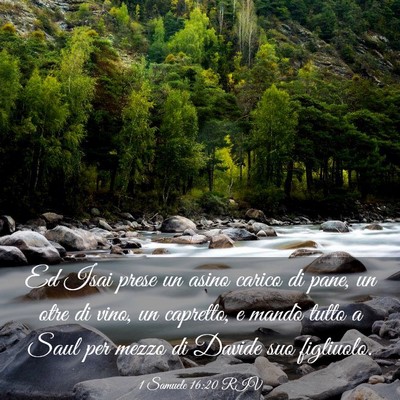 Picture 03 - 1 Samuele 16:20 RIV - Ed Isai prese un asino carico di pane, un otre di - Bible Verse Picture