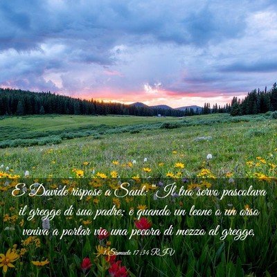 Picture 03 - 1 Samuele 17:34 RIV - E Davide rispose a Saul: “Il tuo servo - Bible Verse Picture