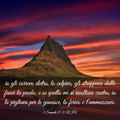 Picture 03 - 1 Samuele 17:35 RIV - io gli correvo dietro, lo colpivo, gli strappavo - Bible Verse Picture