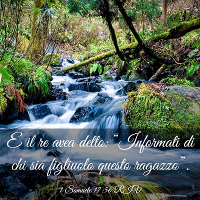 Picture 03 - 1 Samuele 17:56 RIV - E il re avea detto: “Informati di chi sia - Bible Verse Picture