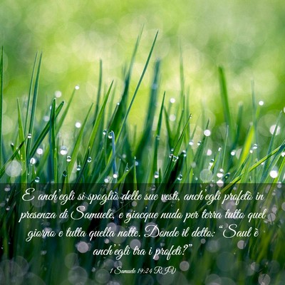 Picture 03 - 1 Samuele 19:24 RIV - E anch’egli si spogliò delle sue vesti, - Bible Verse Picture