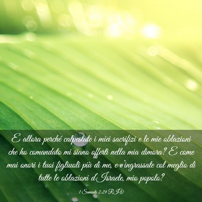 Picture 03 - 1 Samuele 2:29 RIV - E allora perché calpestate i miei sacrifizi e le - Bible Verse Picture
