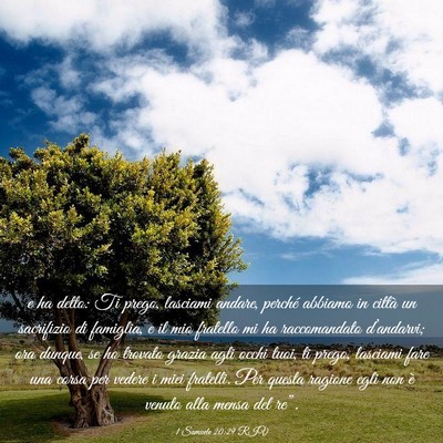 Picture 03 - 1 Samuele 20:29 RIV - e ha detto: Ti prego, lasciami andare, perché - Bible Verse Picture