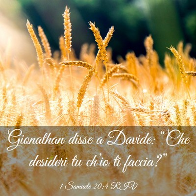 Picture 03 - 1 Samuele 20:4 RIV - Gionathan disse a Davide: “Che desideri tu - Bible Verse Picture