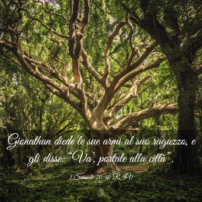 Picture 03 - 1 Samuele 20:40 RIV - Gionathan diede le sue armi al suo ragazzo, e gli - Bible Verse Picture