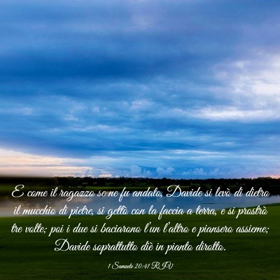 Picture 03 - 1 Samuele 20:41 RIV - E come il ragazzo se ne fu andato, Davide si - Bible Verse Picture
