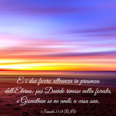 Picture 03 - 1 Samuele 23:18 RIV - E i due fecero alleanza in presenza - Bible Verse Picture