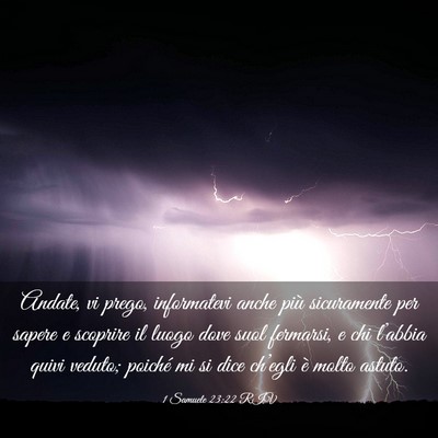 Picture 03 - 1 Samuele 23:22 RIV - Andate, vi prego, informatevi anche più - Bible Verse Picture