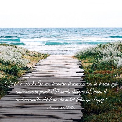 Picture 03 - 1 Samuele 24:19 RIV - (H24-20) Se uno incontra il suo nemico, lo lascia - Bible Verse Picture