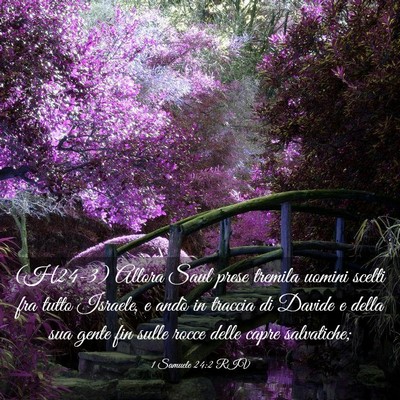 Picture 03 - 1 Samuele 24:2 RIV - (H24-3) Allora Saul prese tremila uomini scelti - Bible Verse Picture