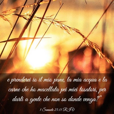 Picture 03 - 1 Samuele 25:11 RIV - e prenderei io il mio pane, la mia acqua e la - Bible Verse Picture