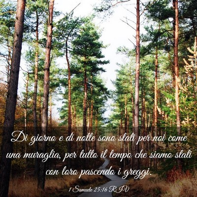 Picture 03 - 1 Samuele 25:16 RIV - Di giorno e di notte sono stati per noi come una - Bible Verse Picture