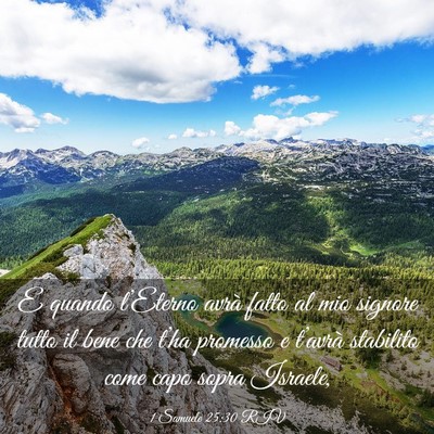 Picture 03 - 1 Samuele 25:30 RIV - E quando l’Eterno avrà fatto al mio signore - Bible Verse Picture