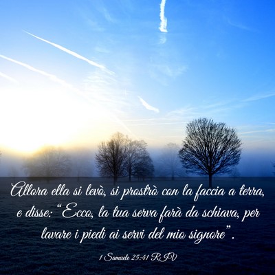 Picture 03 - 1 Samuele 25:41 RIV - Allora ella si levò, si prostrò con la faccia a - Bible Verse Picture
