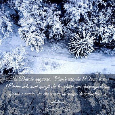 Picture 03 - 1 Samuele 26:10 RIV - Poi Davide aggiunse: “Com’è vero che - Bible Verse Picture