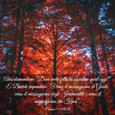 Picture 03 - 1 Samuele 27:10 RIV - Akis domandava: “Dove avete fatto la scorreria - Bible Verse Picture