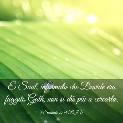 Picture 03 - 1 Samuele 27:4 RIV - E Saul, informato che Davide era fuggito Gath, - Bible Verse Picture